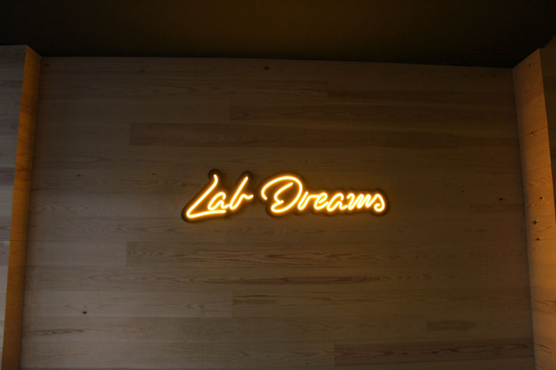 Lab-Dreams room
